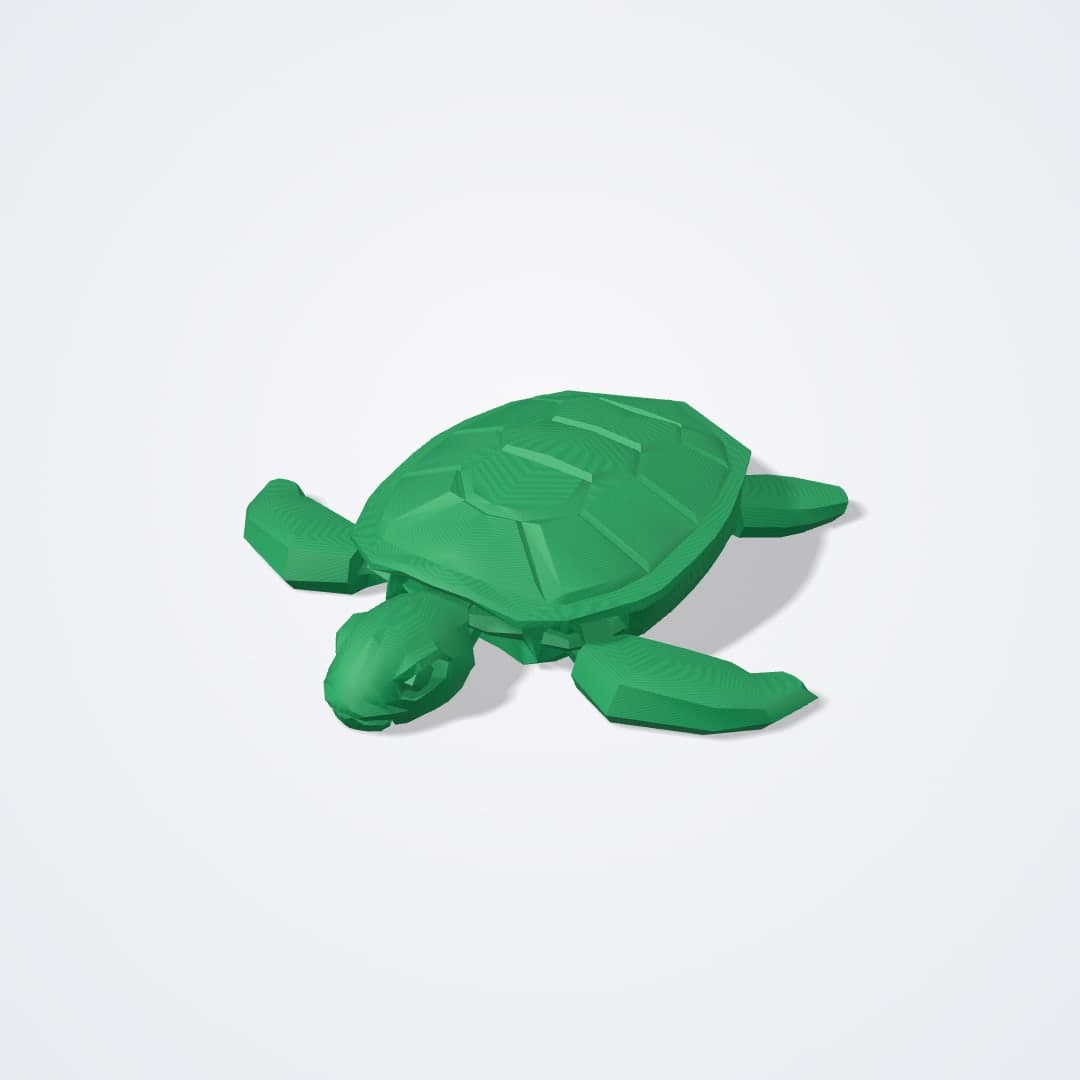 Tortuga Marina Flexi